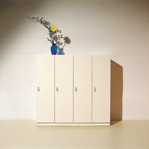 ARMADIETTO SPOGLIATOIO